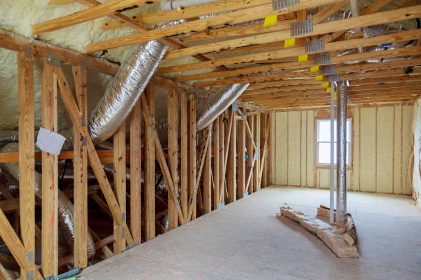 Best Professional Insulation Contractor  in Ackley, IA