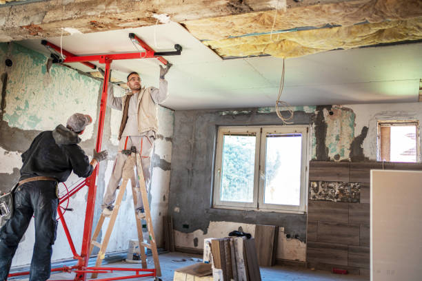 Best Insulation Repair Services  in Ackley, IA